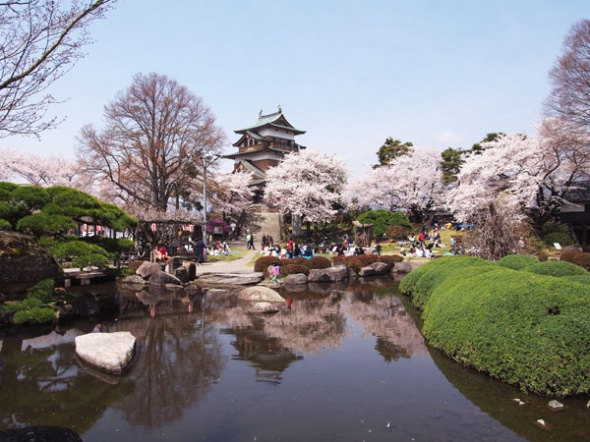 19 諏訪近辺の 桜の名所 と言えばここ 定番お花見スポット たてしなの時間